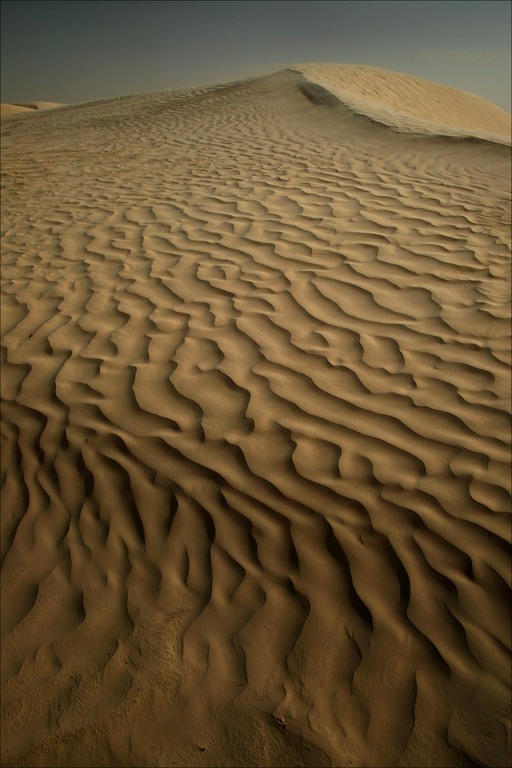 Dune du Sahara...