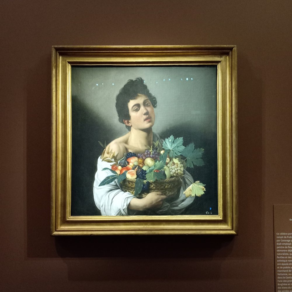 1731623782_musee_jacquemart-andre_paris_exposition_galerie_borghese_caravage_garcon_a_la_corbeille_de_fruits_-_2024_10_24_benjamin_bories.jpg