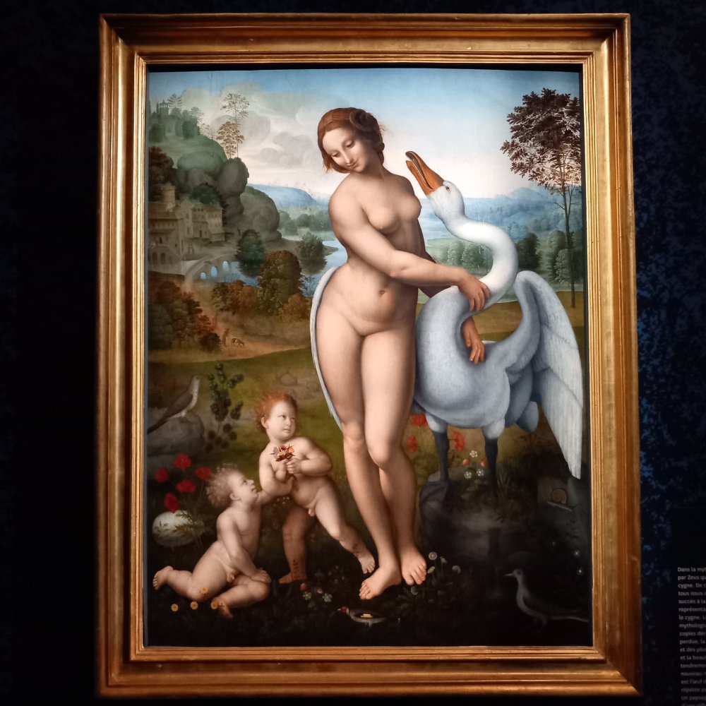 1731624225_musee_jacquemart-andre_paris_exposition_galerie_borghese_d-apres_vinci_leda_et_le_cygne_-_2024_10_24_benjamin_bories.jpg