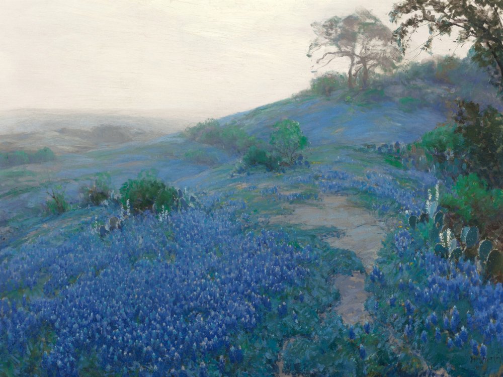 1738339319_julian_onderdonk_-_blue_bonnet_field_early_morning_san_antonio_texas_-_1914.jpg