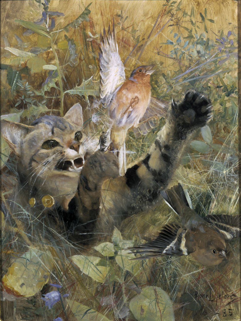 1738339366_bruno_liljefors_-_cat_and_chaffinch_five_animal_studies_in_one_frame_-_1885_-_nationalmuseum_stockholm.jpg