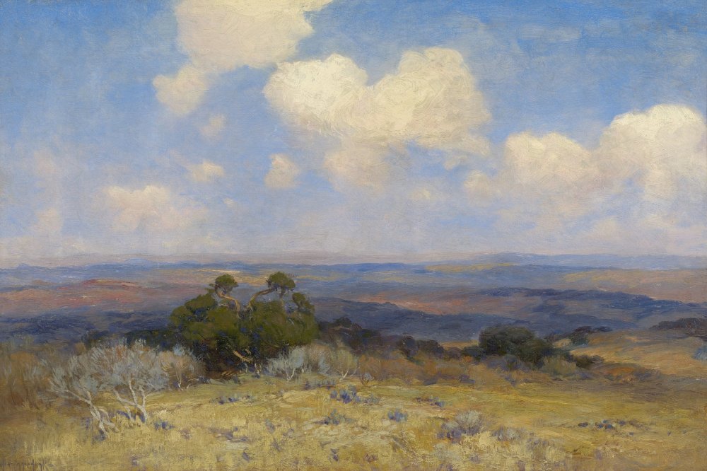 1738339396_julian_onderdonk_-_sunlight_and_shadow_-_1910_-_museum_of_fine_arts_houston.jpg