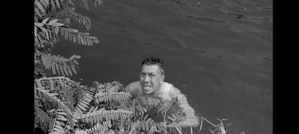 1748553102_fernandel_-_don_camillo_monseigneur_1961_-_dialogue_avec_jesus_au_bord_du_fleuve_po.jpg