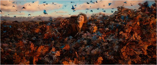 1387326860_pj_bilbo_mirkwood.jpg