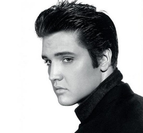 elvis in memoriam