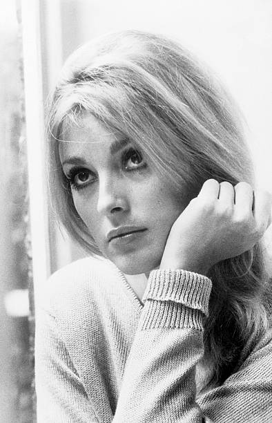 1511216858_sharon_tate.jpg