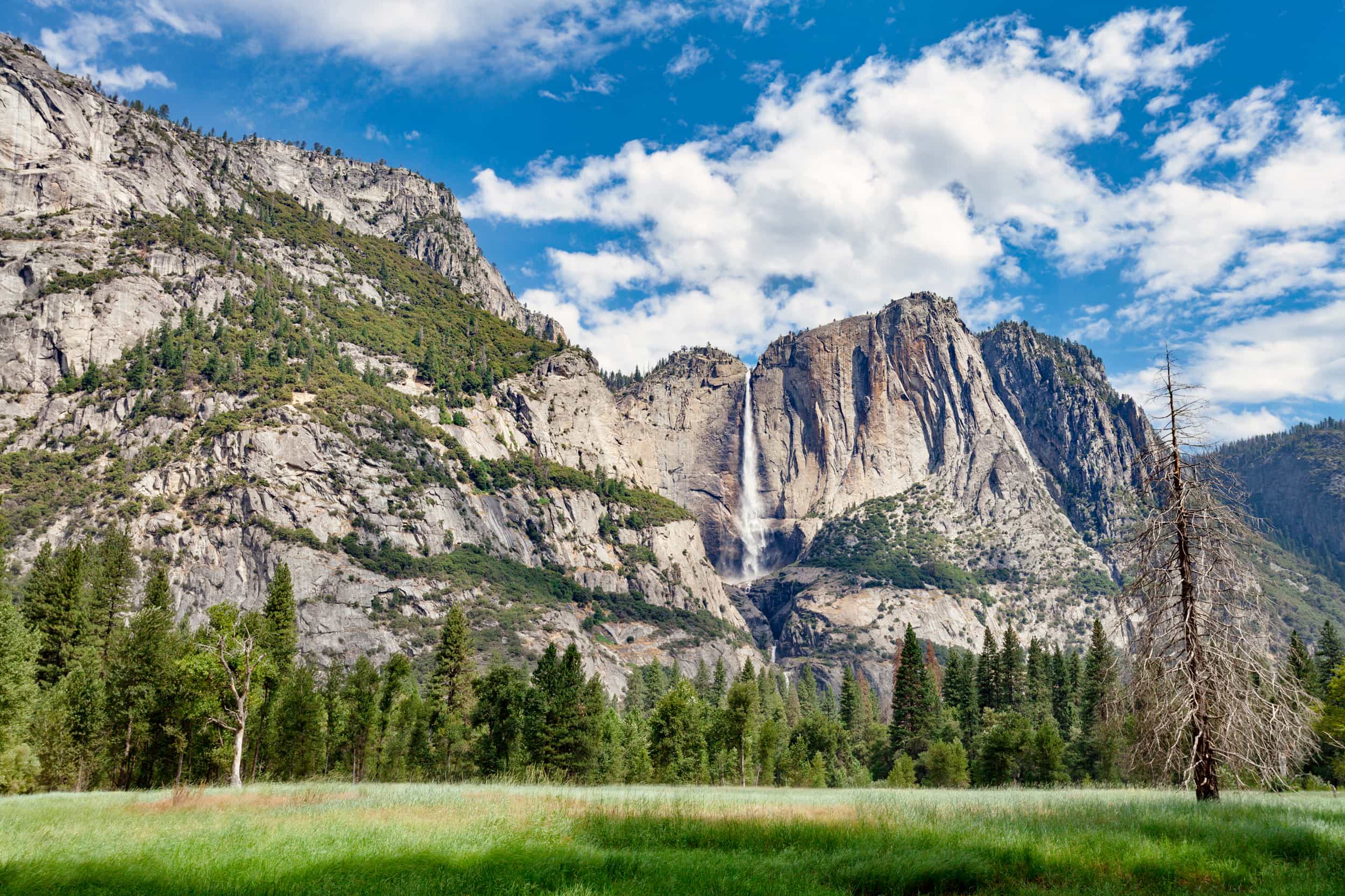 Yosemite-2017-3216B.jpg