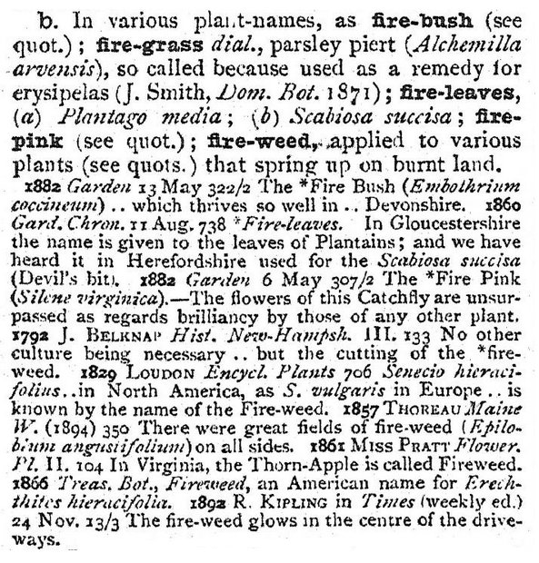 1691856933_fire-weed.png