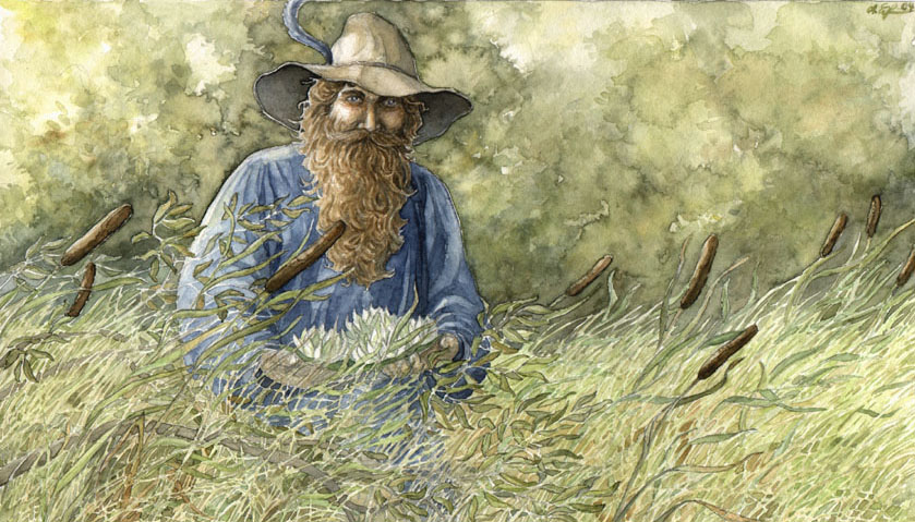 L’énigmatique présence de Tom Bombadil et Baie d’or