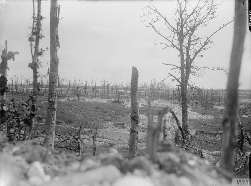 Tolkien et la Somme – Le Centenaire – 24 août 1916